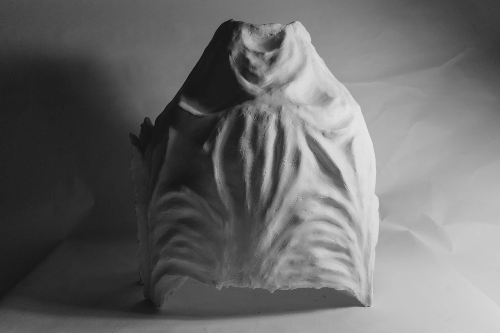 Black-and-white photo of a cast shell model with a ribbed, draped-looking surface.