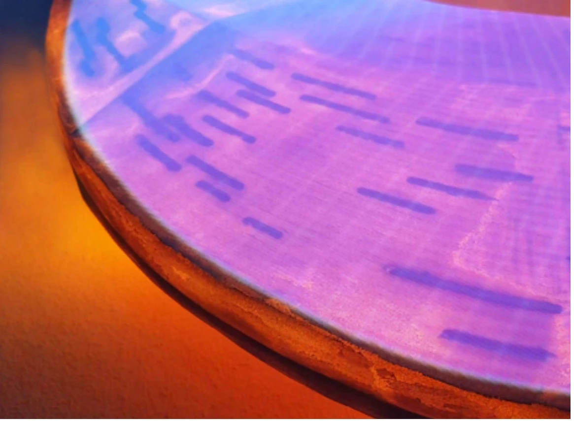 Close-up of the torus surface lit in purple and orange.