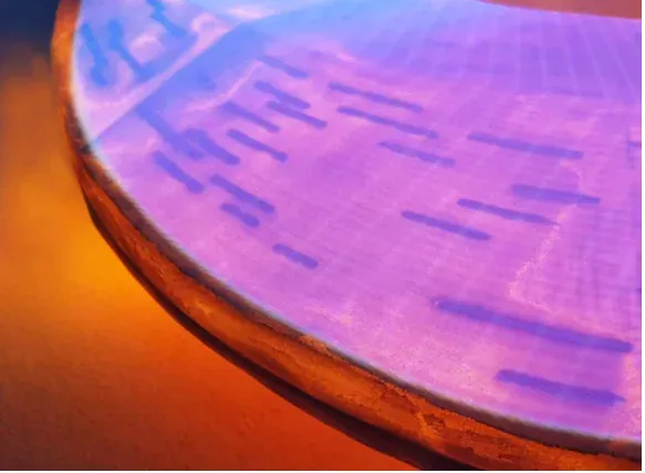 Close-up of the torus surface lit in purple and orange.