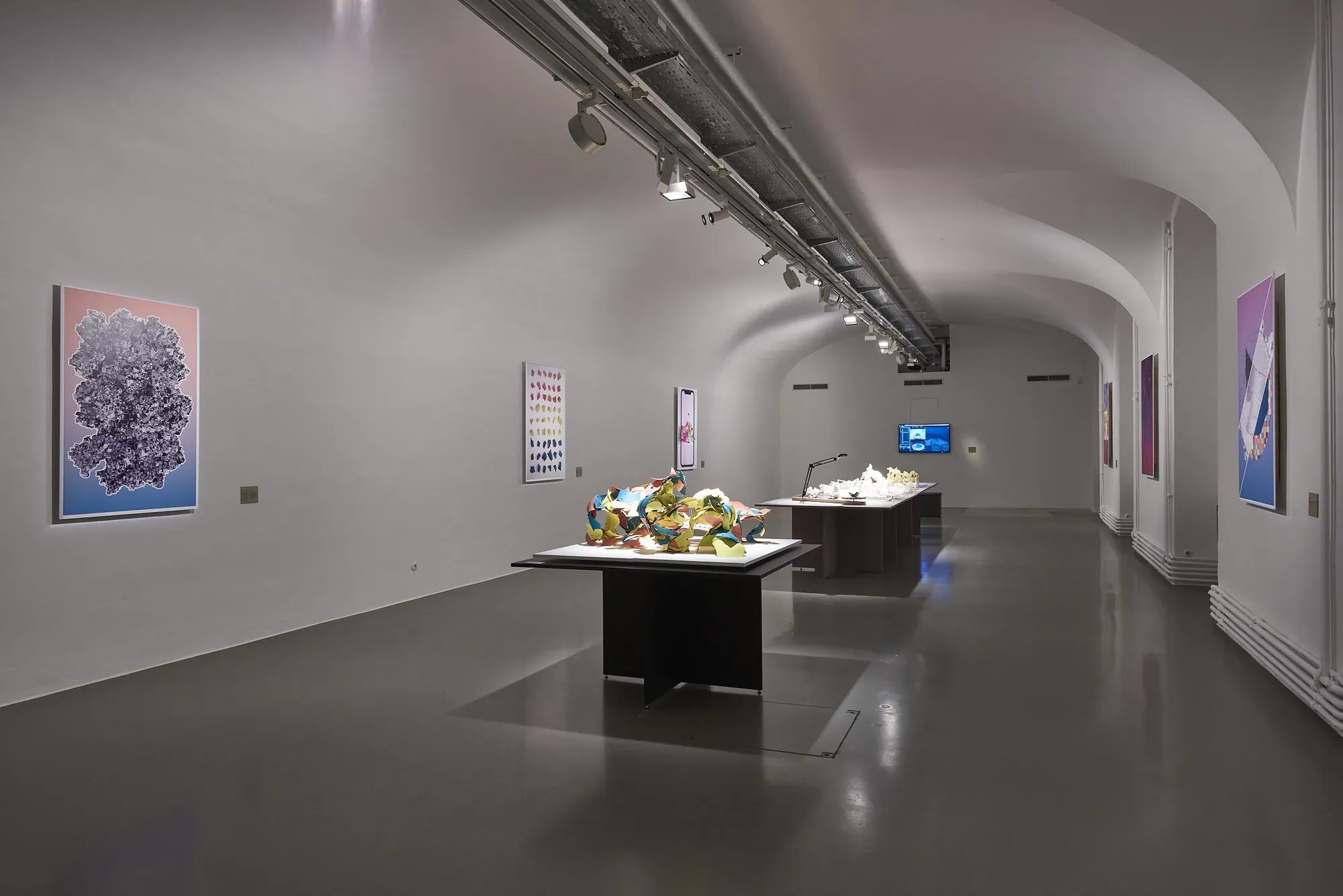 Wide view of the vaulted MAK gallery: plinths with shell models down the centre, posters along both walls.