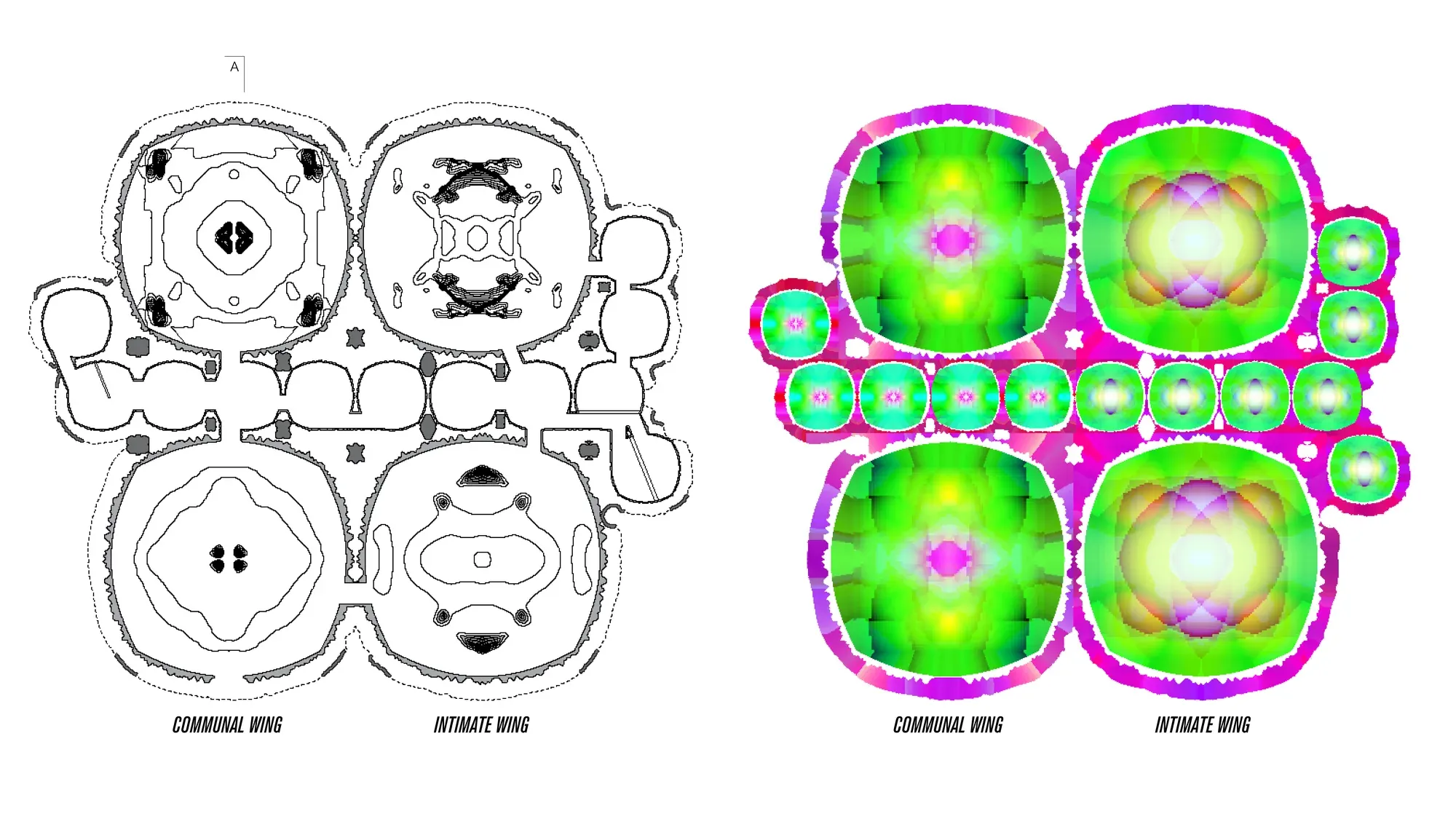 Plan drawing of the shells beside the same plan coloured by the RGB maps.