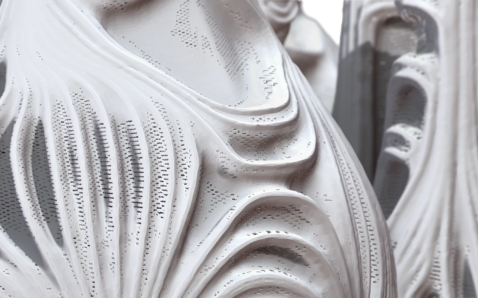 Close-up of a white shell surface with flowing ribs and rows of small perforations.