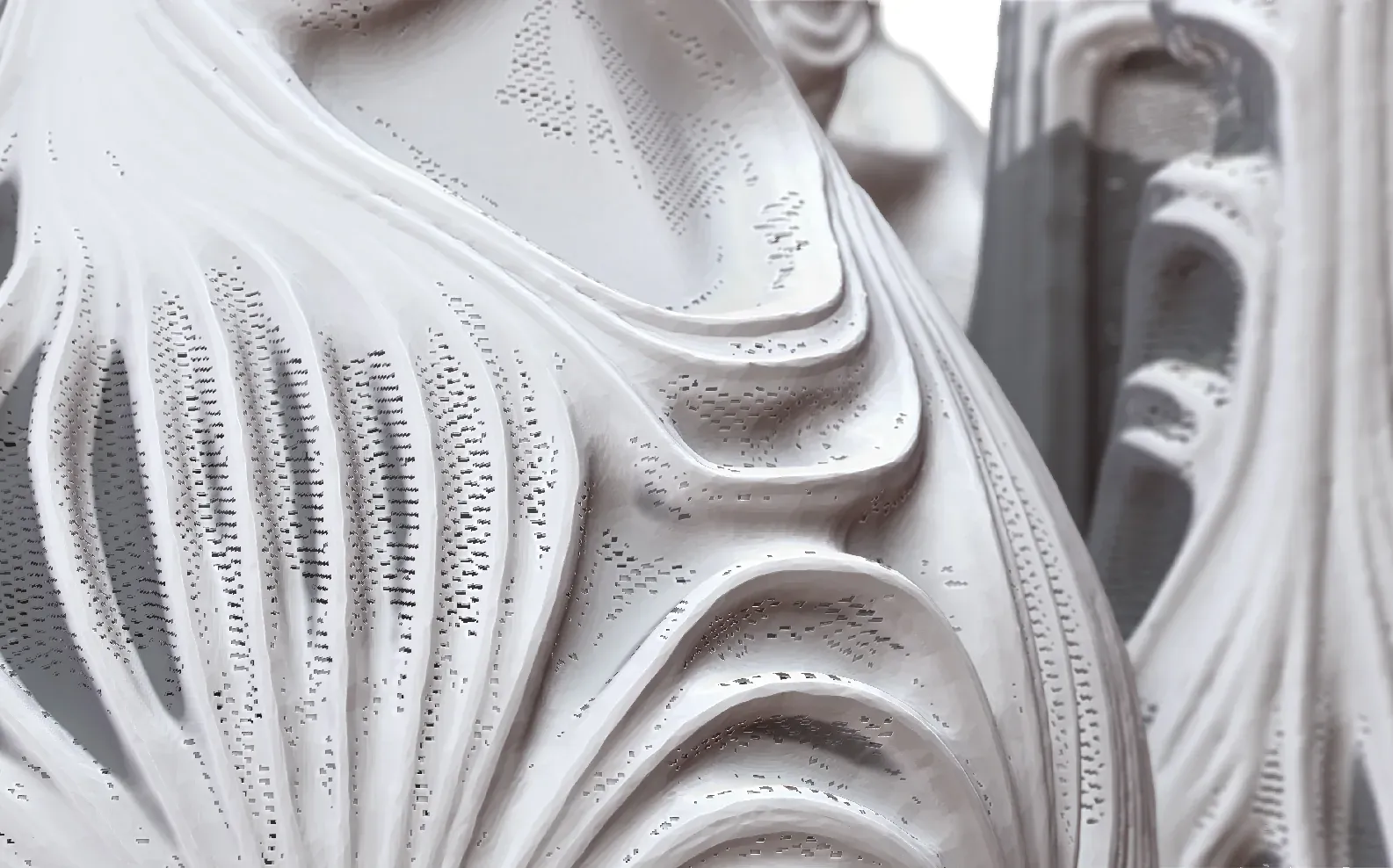 Close-up of a white shell surface with flowing ribs and rows of small perforations.